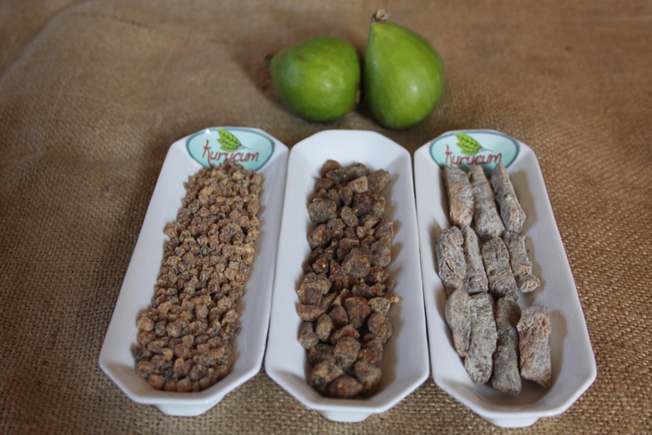 dried fig-6