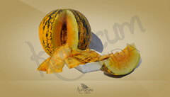 dried melon